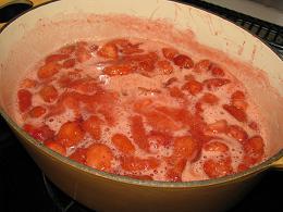 090510 s Strawberry Jam.jpg