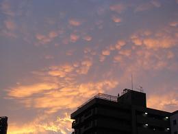 090810 s 夕空.jpg