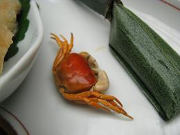 090901 s kani.jpg