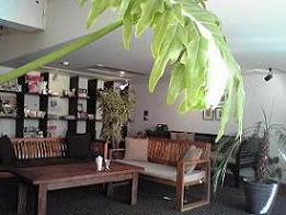 091124 s Aura cafe1.jpg