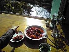 091124 s Aura cafe2.jpg