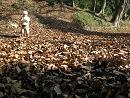 091202 s Autumn Youka.jpg