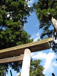 100104 s shrine blue sky.jpg