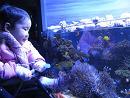 100119 s aquarium2.jpg