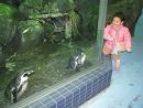 100119 s penguin.jpg