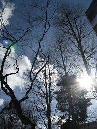 100209 s sky.jpg
