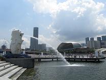 100601 s lion2.jpg