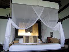 100607 s banyan 11.jpg