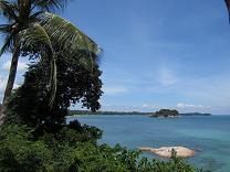 100607 s banyan4.jpg