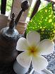 100609 ss flower.jpg