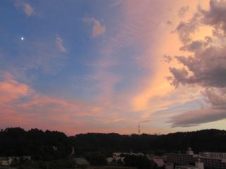 100805 s late afternoon.jpg