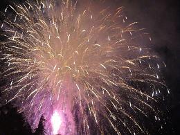 100811 s fire flower2.jpg