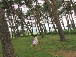 100818 s Heart Land5 tilt.jpg