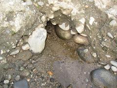 100820 s river spring.jpg