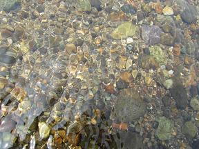 100820 s river1.jpg
