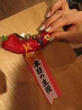 100828 s amo4.jpg