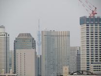1104 s Aoayama3.jpg