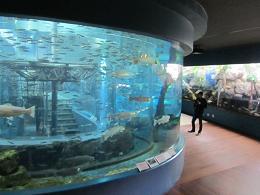 110525 s still water 1.jpg