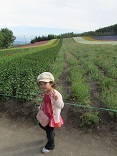 110808 s tomita Youka.jpg