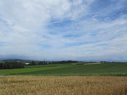 110813 s Biei1.jpg