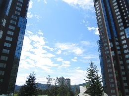 110816 ss Alpha resort1.jpg