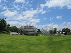 110831 s fruits park.jpg