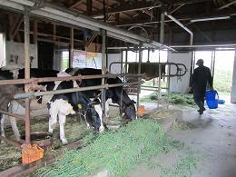 E100908 s farm3.jpg