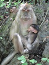 koiblgo 1205 cave5.jpg