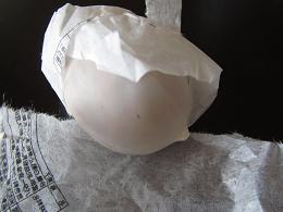 koiblog 110314 s Seagull1.jpg