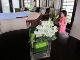 koiblog 120518 s villa2.jpg