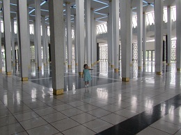 koiblog 1205 s rel3.jpg