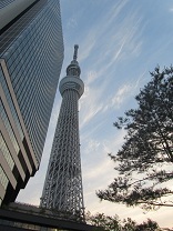 koiblog 1205 s skytree2.jpg