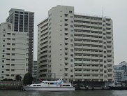koiblog 120719 s ship2.jpg