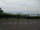 koiblog 121003 toya5.jpg