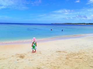 koiblog 130115.jpg