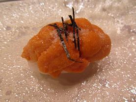 C100627 s sea urchin.jpg