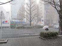Hkoiblog 110330 s snowstorm.jpg