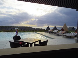 koiblog s 130209 pool2.jpg