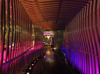 koiblog s 130305 Shangrila1.jpg